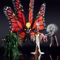 VIVID-Grand-Show_Butterfly_Composing_Foto-Robert-Grischek-541x541